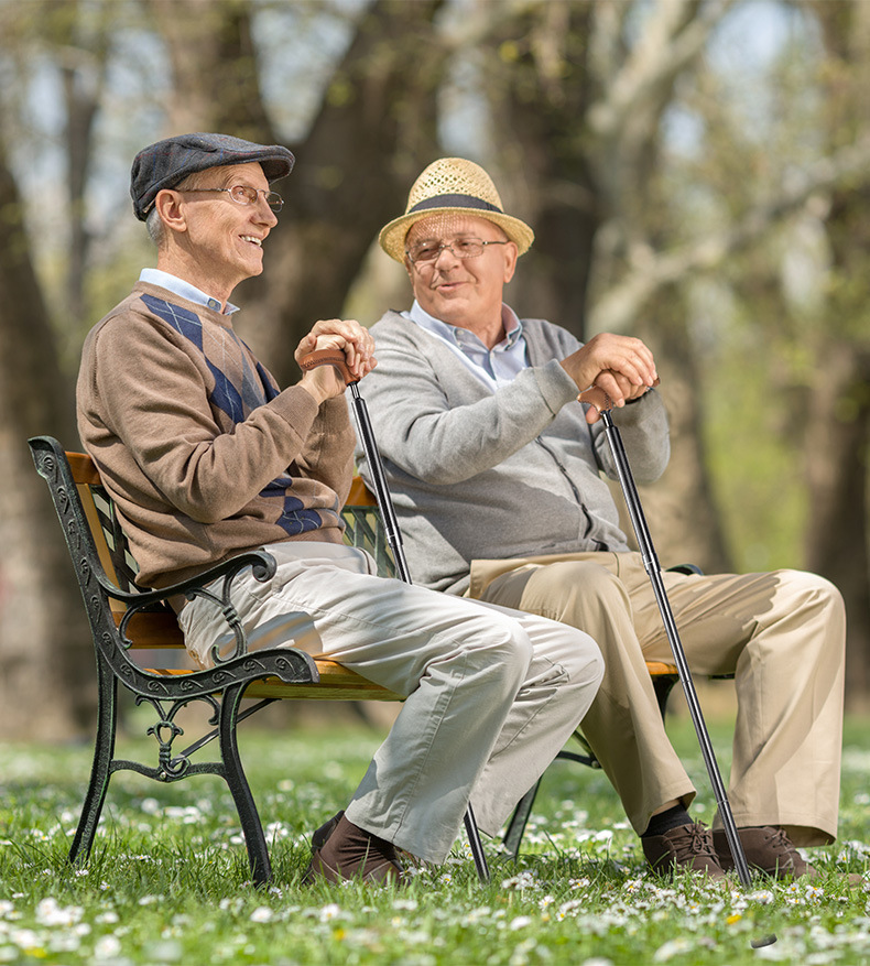 Collapsible Carbon Fiber Walking Cane