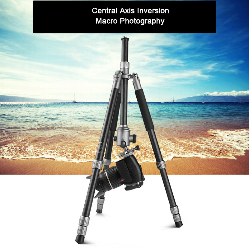 Lightweight Compact 4-Section Carbon Fiber Travel Tripod