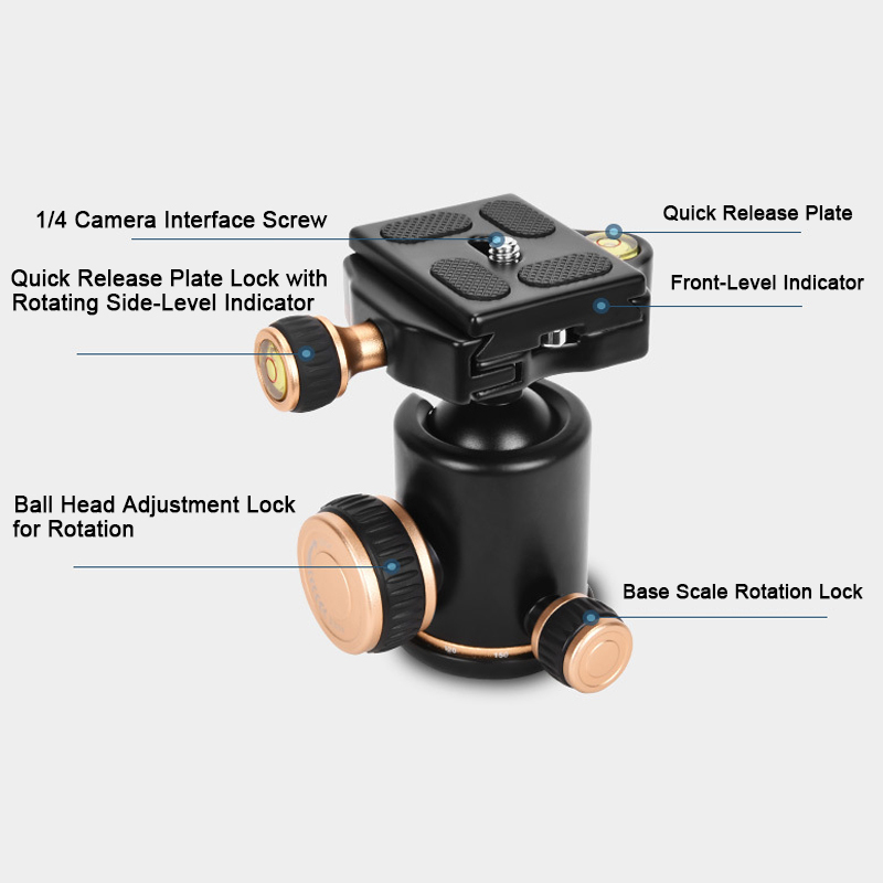 Professional Carbon Fiber Tripod for Camera with 360° Panorama Ball Head