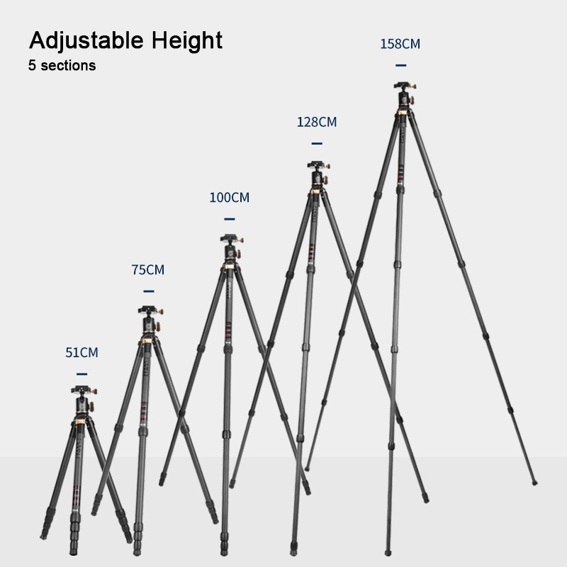 Professional Carbon Fiber Tripod for Camera with 360° Panorama Ball Head