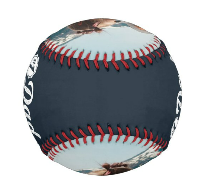 Custom Baseball And Softball for your Child's First Birthday