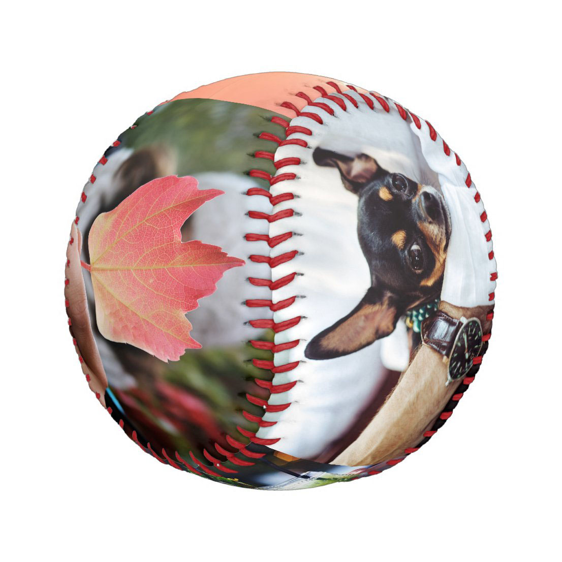 Your Photos Custom Collage Baseball And Softball