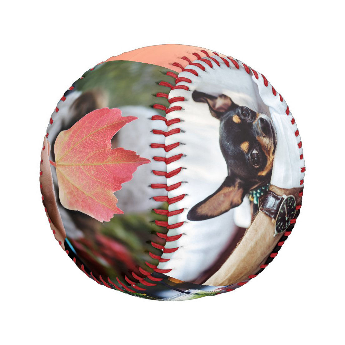 Your Photos Custom Collage Baseball And Softball
