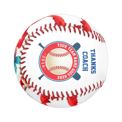 Baseball And Softball Team Thank You Coach