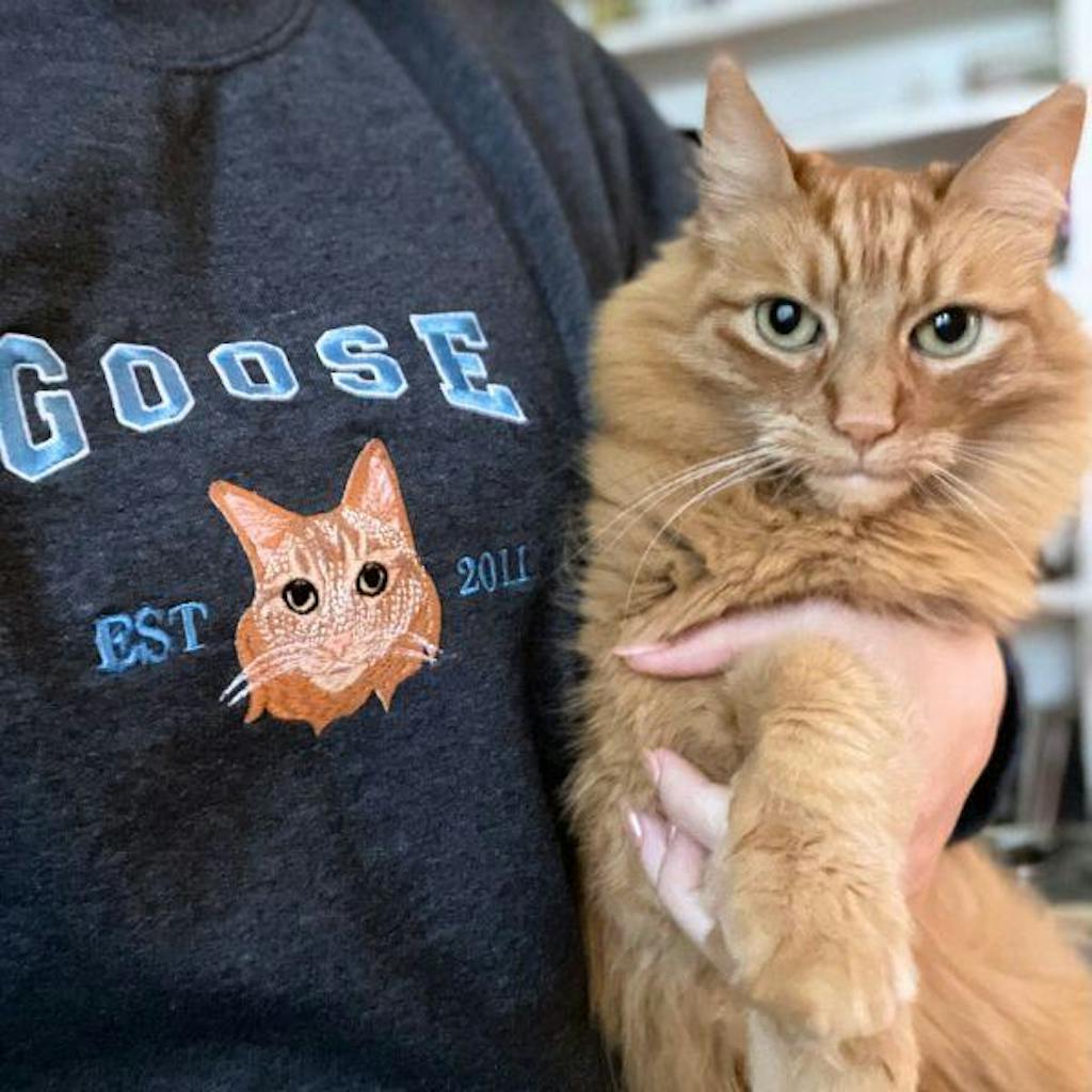 Custom Premium Handcrafted Pet Photo Embroidery with Pet Name T-shirt Sweatshirt Hoodie