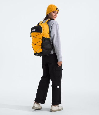 THE NORTH FACE Borealis Commuter Laptop Backpack, Asphalt Grey Light Heather/TNF Black, One Size