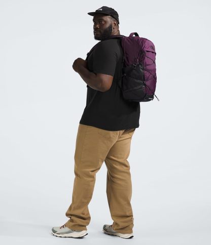 THE NORTH FACE Borealis Commuter Laptop Backpack, Asphalt Grey Light Heather/TNF Black, One Size