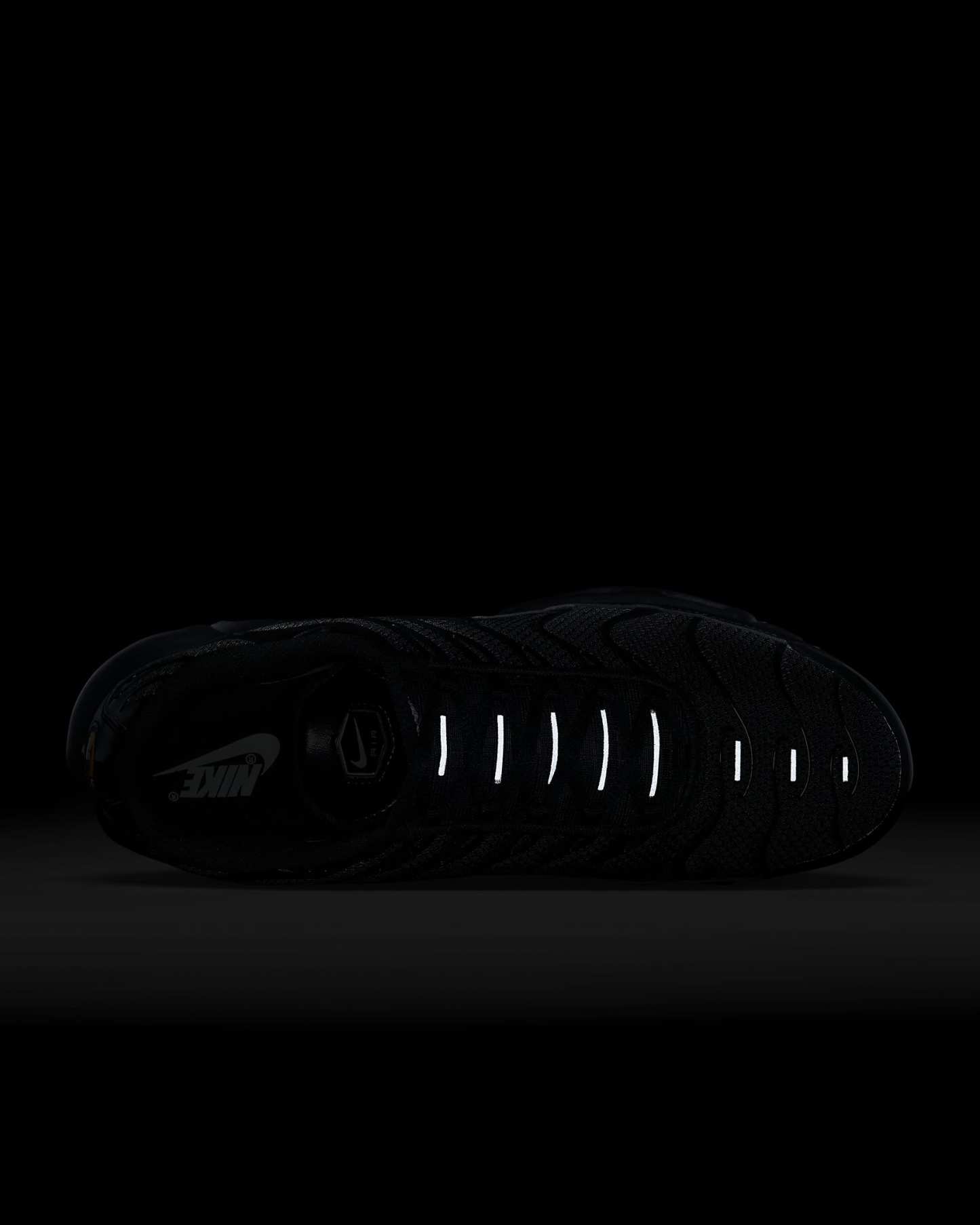Nittgke Air Max Plus Triple Black