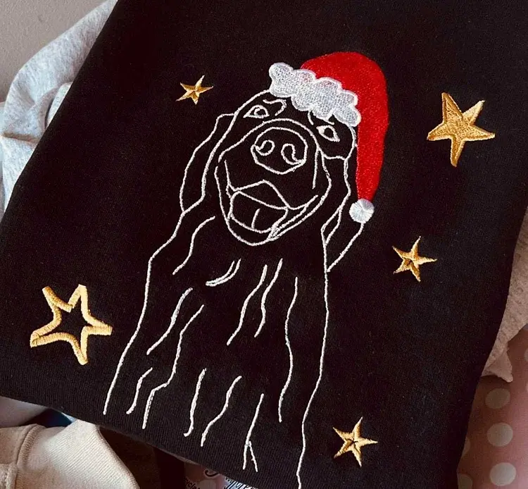 Custom Pet Portrait Christmas Starry Night Outline Embroidered Sweatshirt, Hoodie, T-Shirt