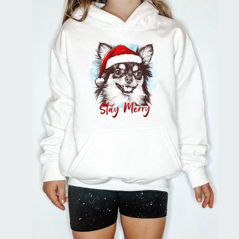 PetFiestas® Custom Pet Santa Hat Sweatshirt with Christmas Circle Background