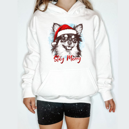 PetFiestas® Custom Pet Santa Hat Sweatshirt with Christmas Circle Background