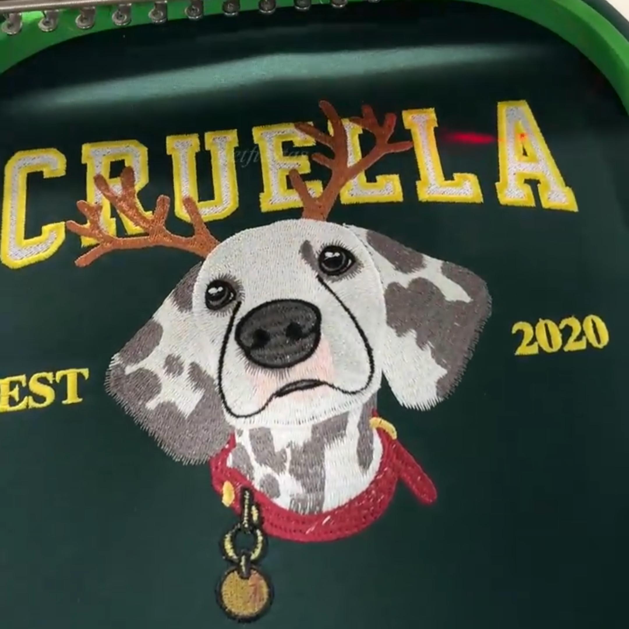 Customized Pet Face Pattern Christmas Reindeer Embroidered Sweatshirt/Hoodie