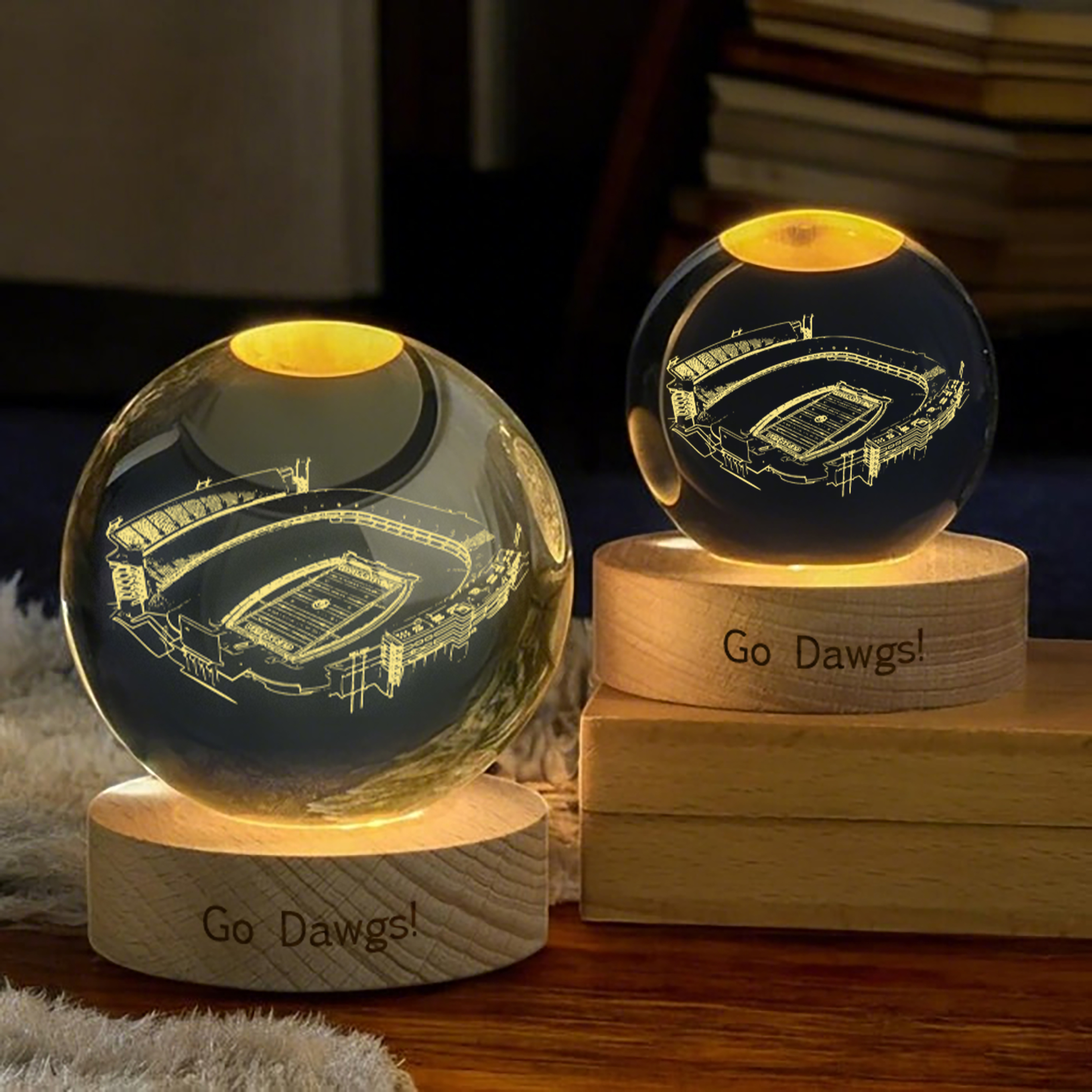 Sanford Stadium 3D Spherical Crystal Lamp