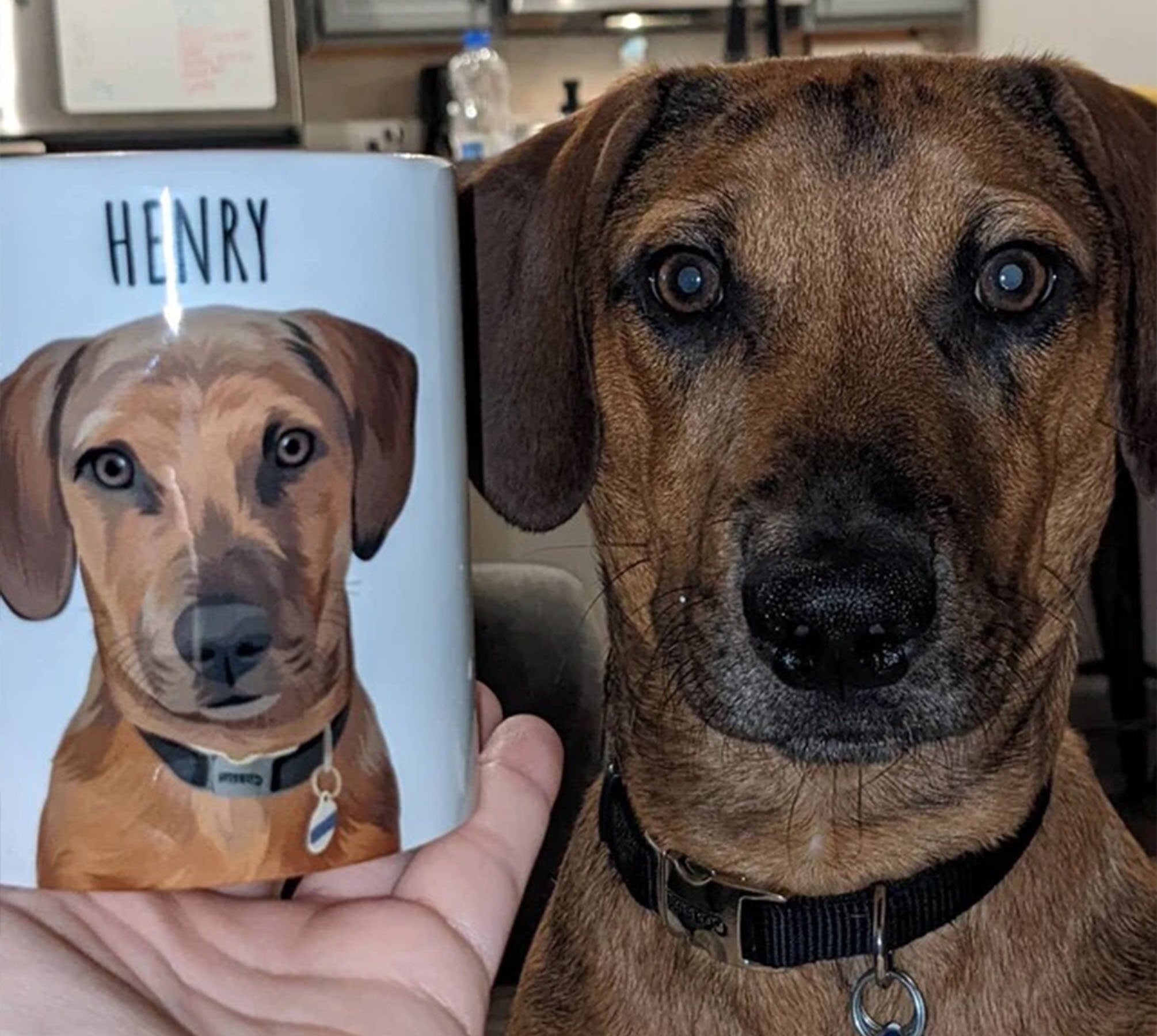 Personalized Dog Pet Cartoon Photo Mug-ilovevango