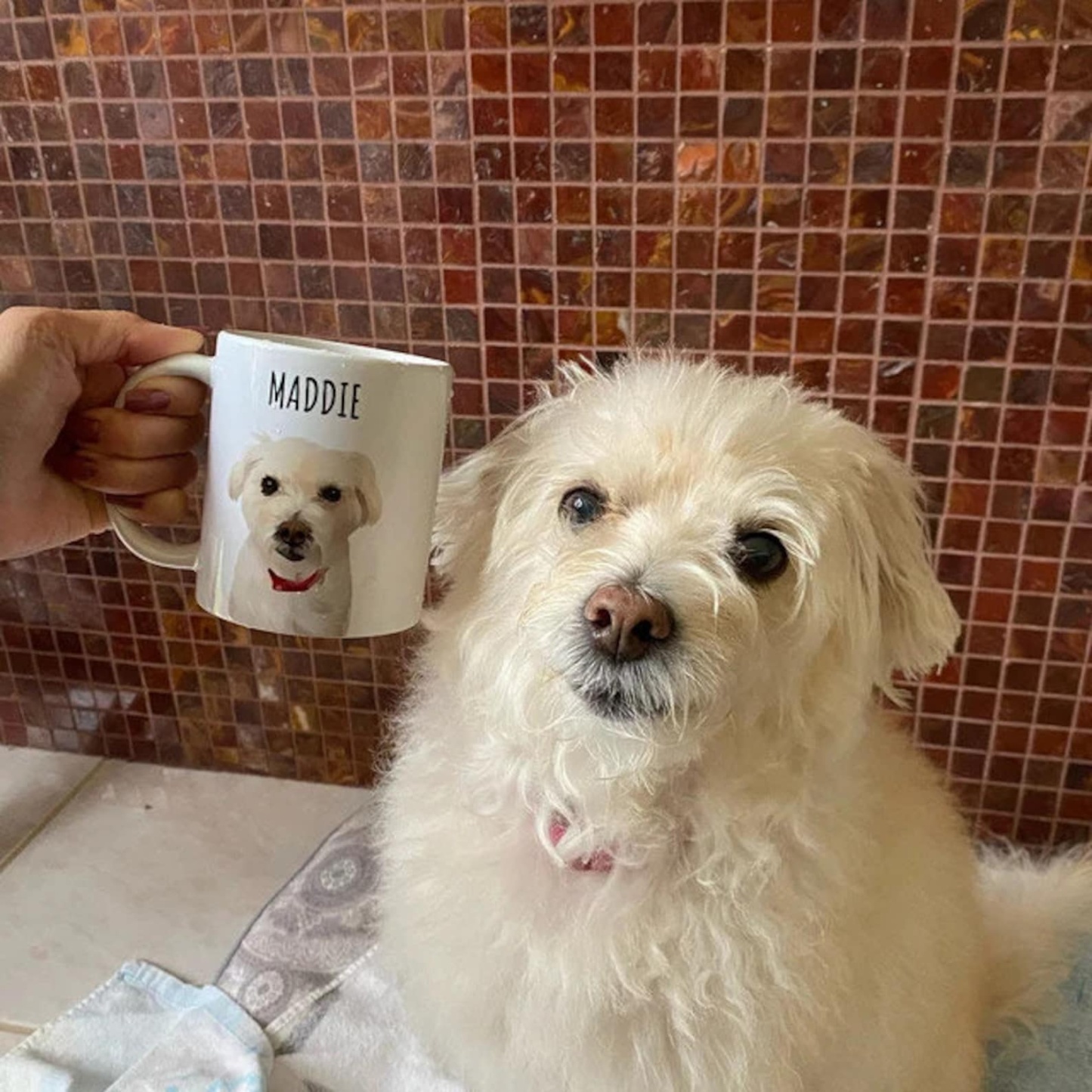 Personalized Dog Pet Cartoon Photo Mug-ilovevango