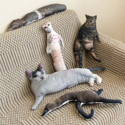 Ugly Pet Pillow Custom 3D Pet Portrait Throw Pillow