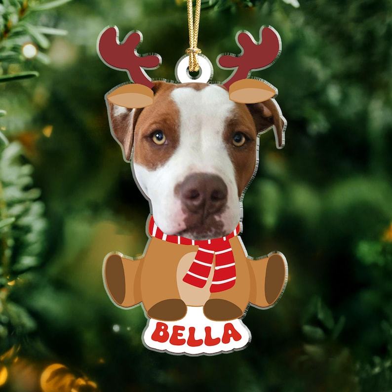Custom Pet Photo Christmas Ornament, Funny Dog Cat Horse Bunny Cow Orn