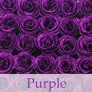 💕Glitter Rose Bouquet💕Couple Glitter Everlasting Rose Bouquet (Never Wither)