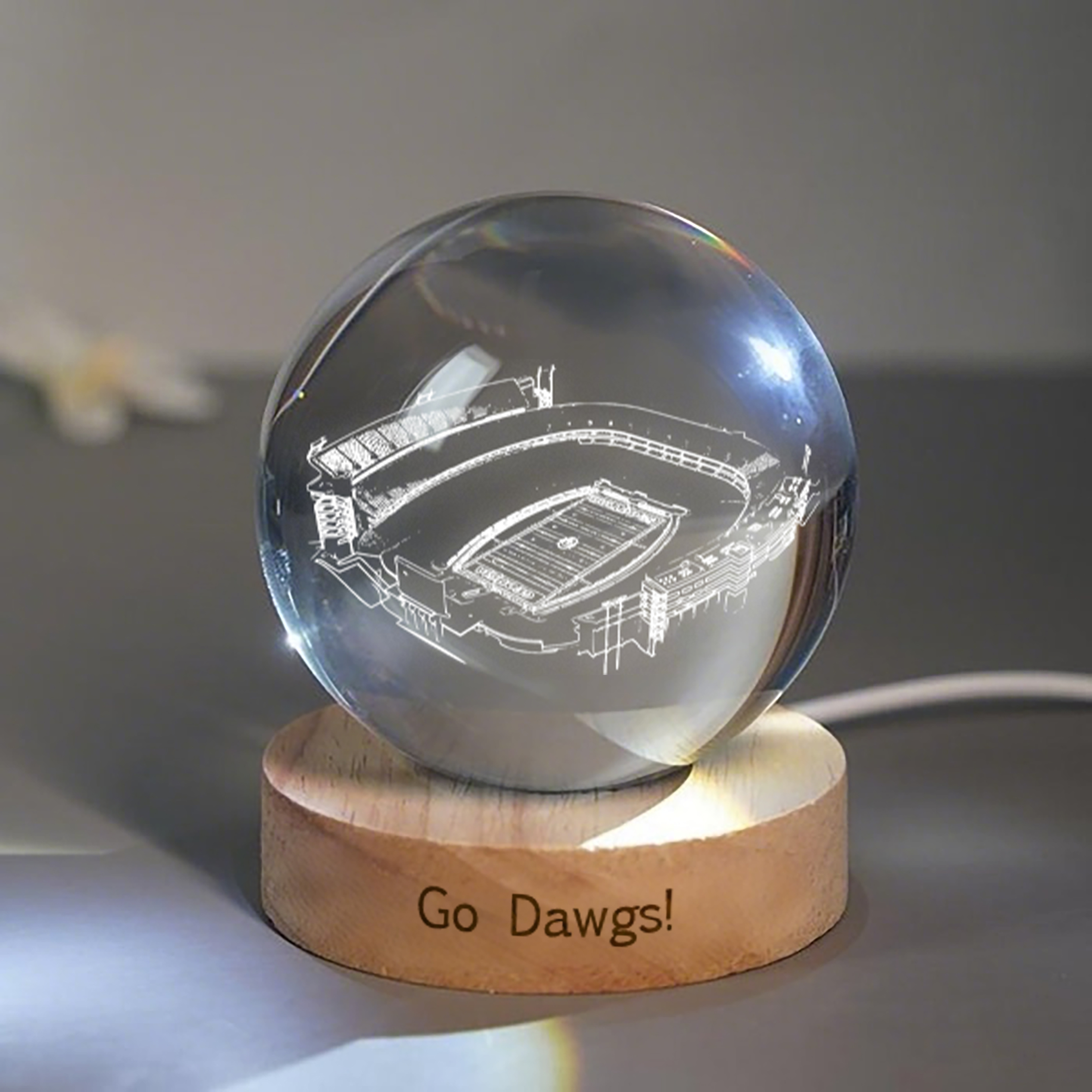 Sanford Stadium 3D Spherical Crystal Lamp