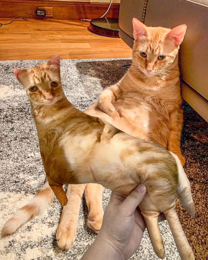 Ugly Pet Pillow Custom 3D Pet Portrait Throw Pillow