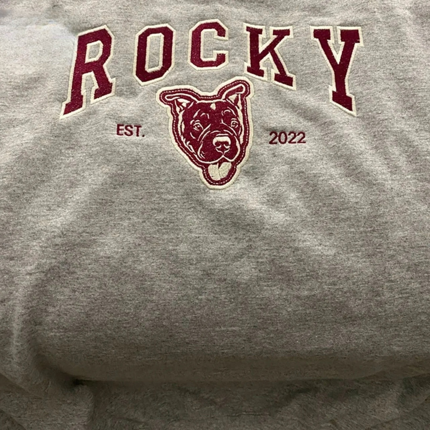 PetFiestas® Custom Pet Varsity Style Embroidered Sweatshirt Hoodie T-shirt