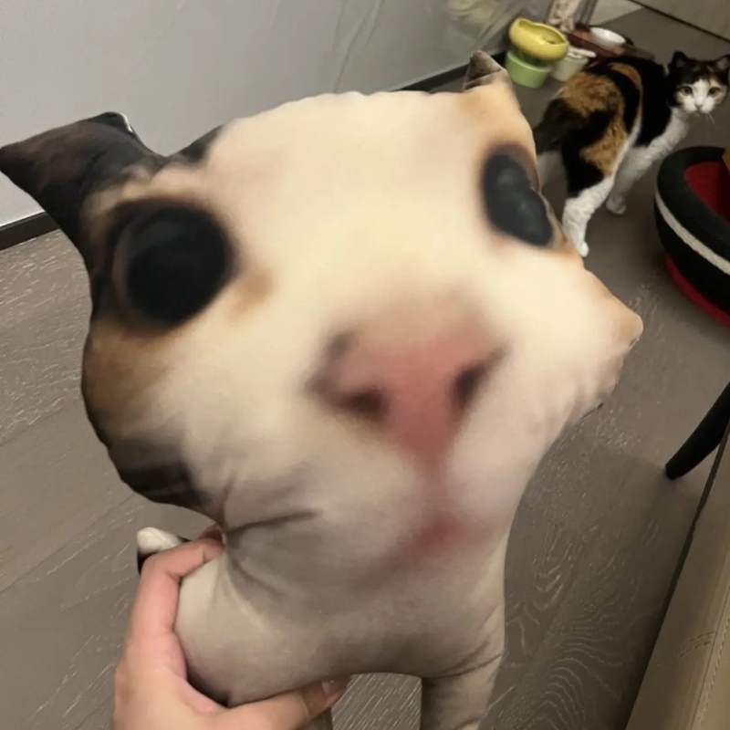 Ugly Pet Pillow Custom 3D Pet Portrait Throw Pillow