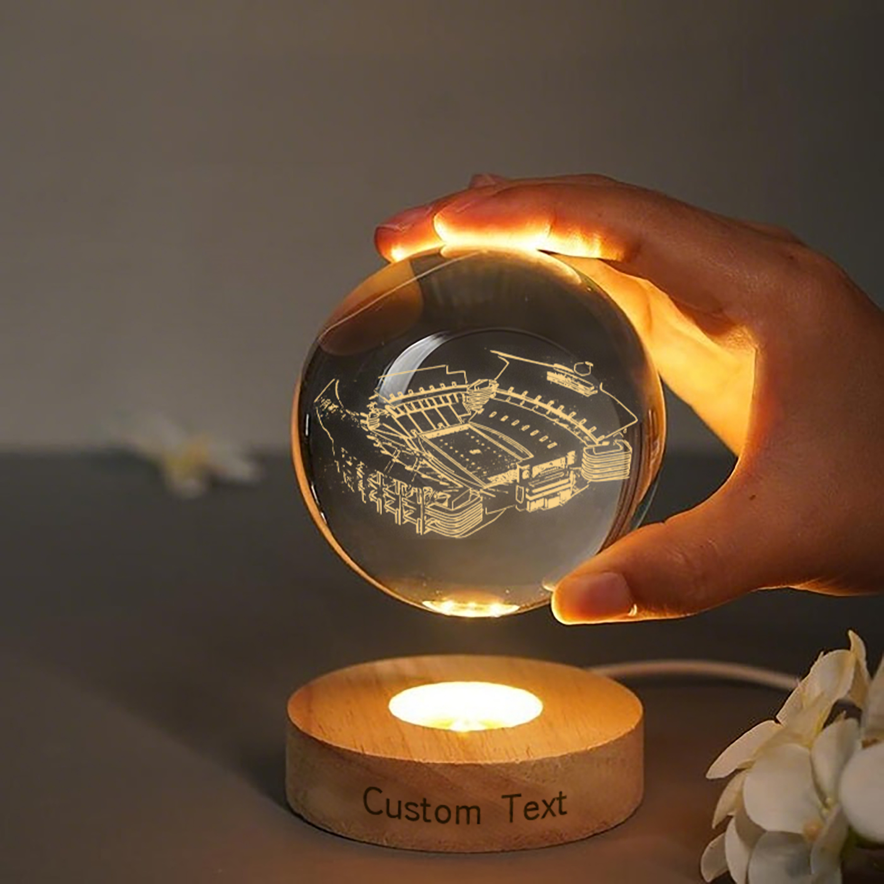 Williams-Brice Stadium 3D Spherical Crystal Lamp