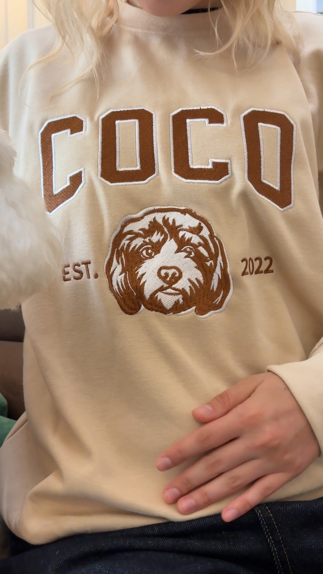 PetFiestas® Custom Pet Varsity Style Embroidered Sweatshirt Hoodie T-shirt