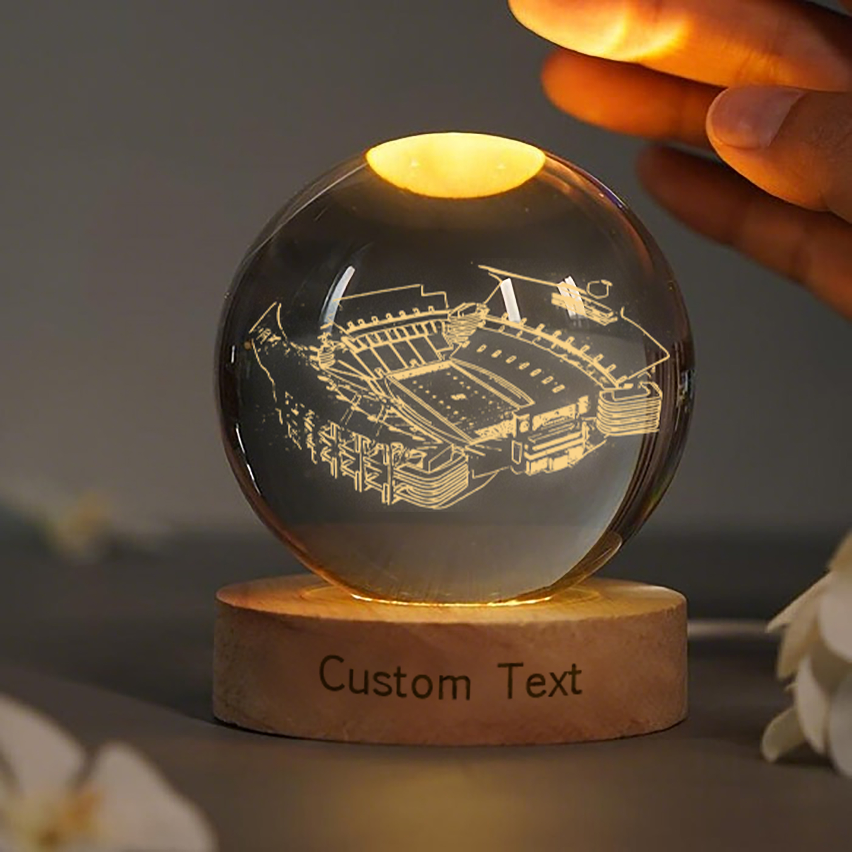 Williams-Brice Stadium 3D Spherical Crystal Lamp