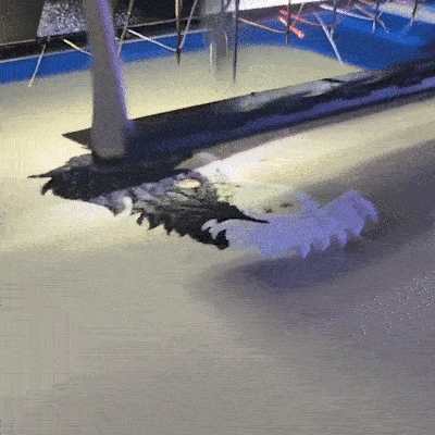 Personalized Pet Embroidered Sweatshirt