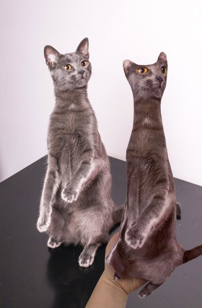 Ugly Pet Pillow Custom 3D Pet Portrait Throw Pillow