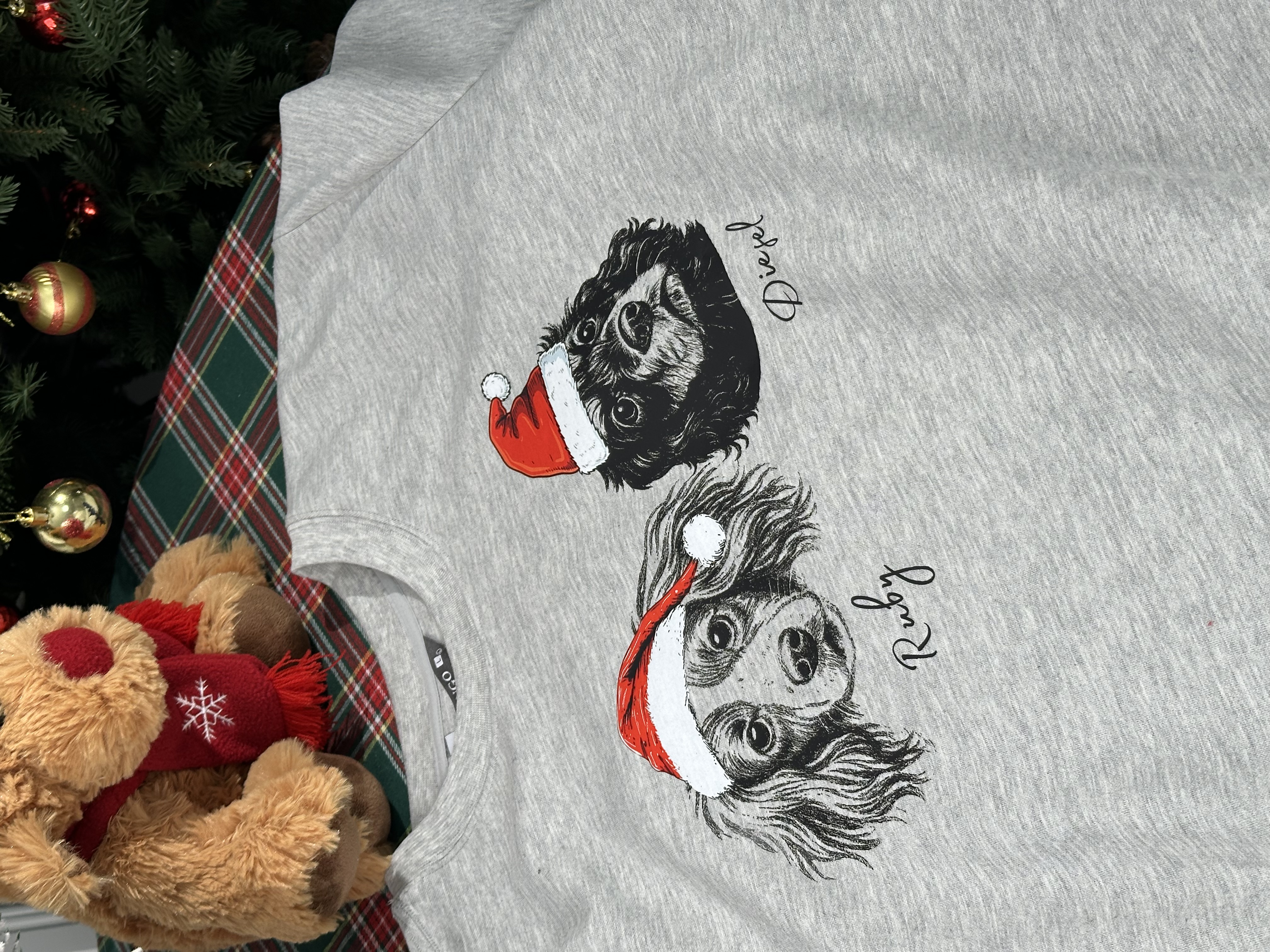 PetFiestas® Custom Dog/Cat Santa Hat Graphic Crewneck Sweatshirt Hoodie