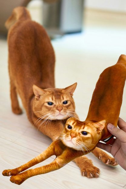 Ugly Pet Pillow Custom 3D Pet Portrait Throw Pillow