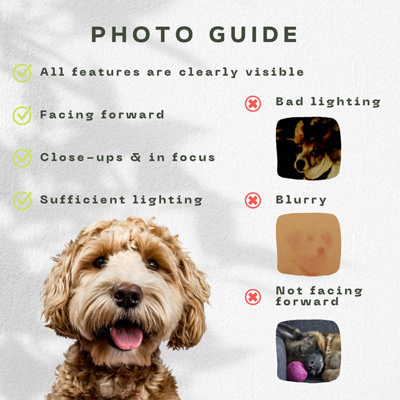 Custom Pet Pen Art Portrait Blanket, Personalized Dog Photo Throw Blanket, Dog Face and Name Blanket, Dog Lover Gift-ilovevango