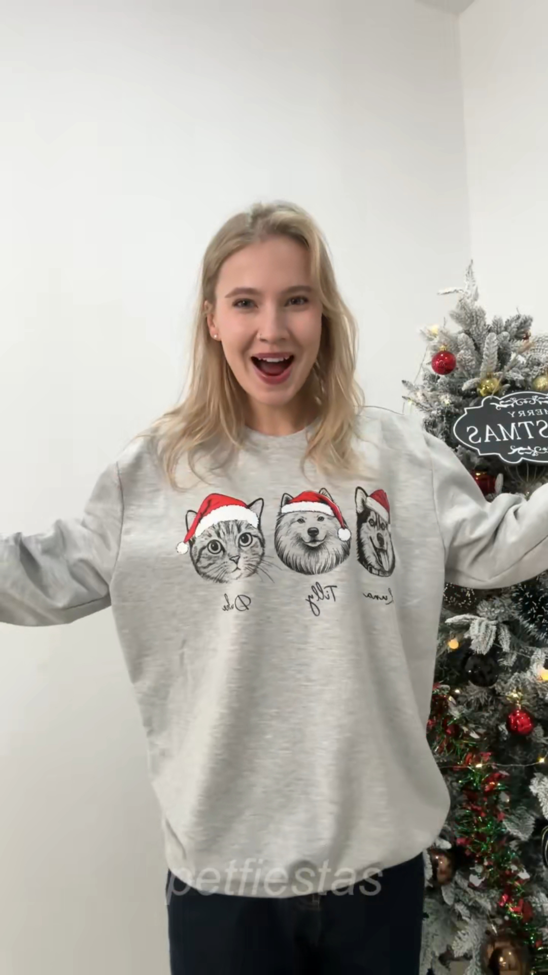 PetFiestas® Custom Dog/Cat Santa Hat Graphic Crewneck Sweatshirt Hoodie