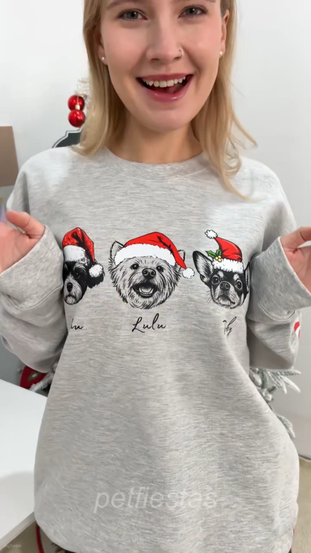 PetFiestas® Custom Dog/Cat Santa Hat Graphic Crewneck Sweatshirt Hoodie