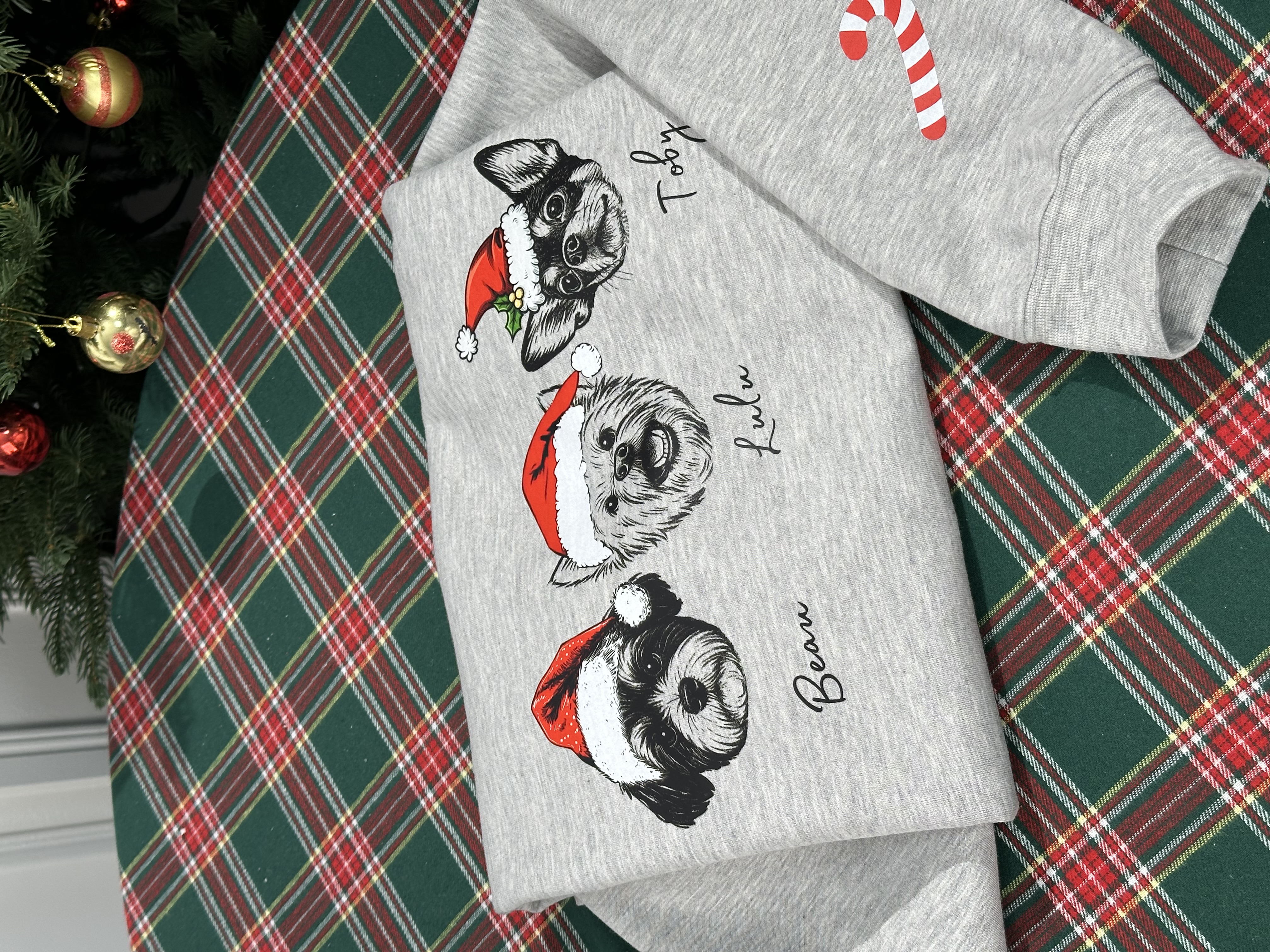 PetFiestas® Custom Dog/Cat Santa Hat Graphic Crewneck Sweatshirt Hoodie