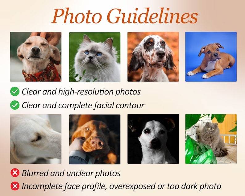 Personalized Dog Embroidered Hoodie, Custom Pet Face Sweatshirt from Your Photo, Varsity Style Hoodie, Personalized tees and Hoodies