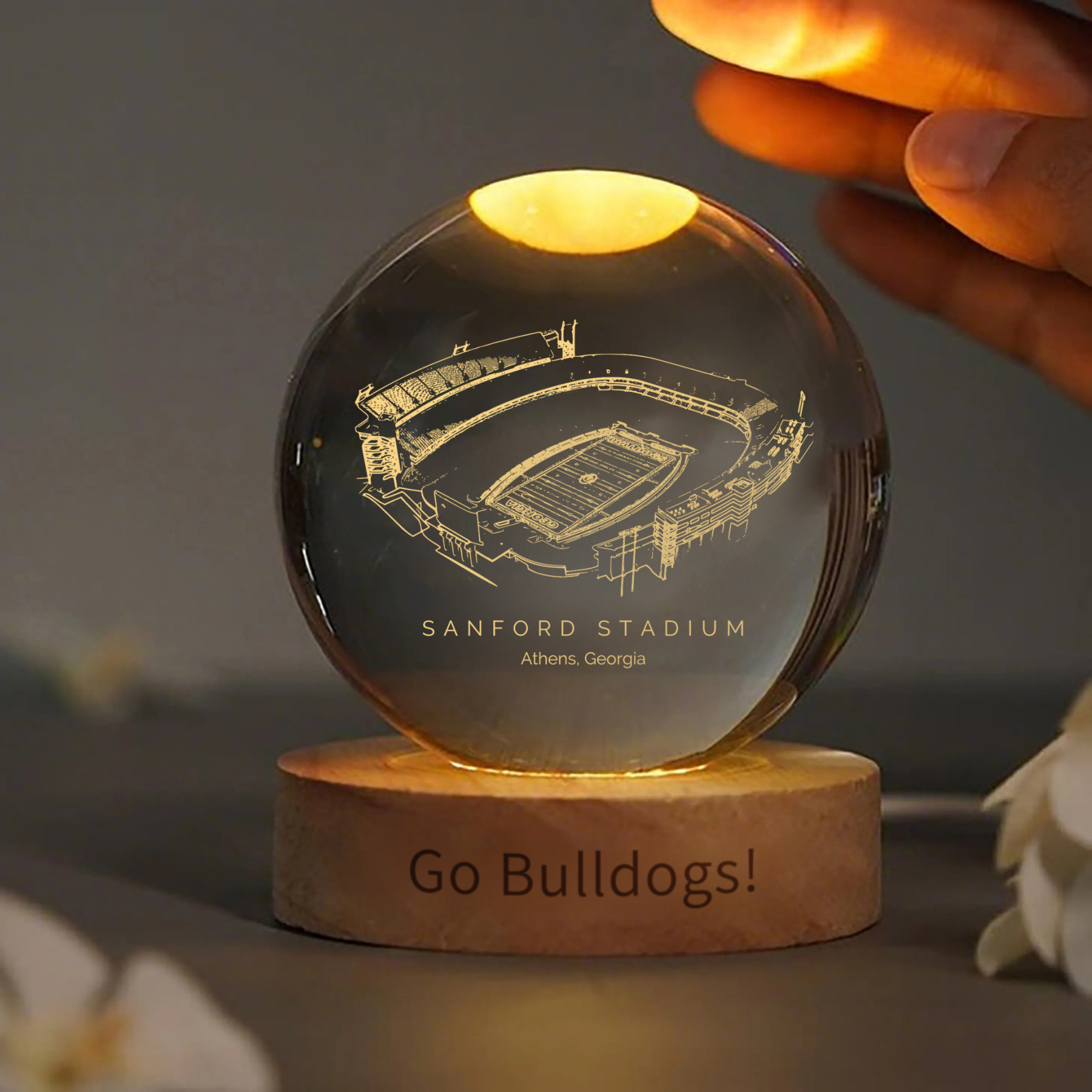 Sanford Stadium 3D Spherical Crystal Lamp