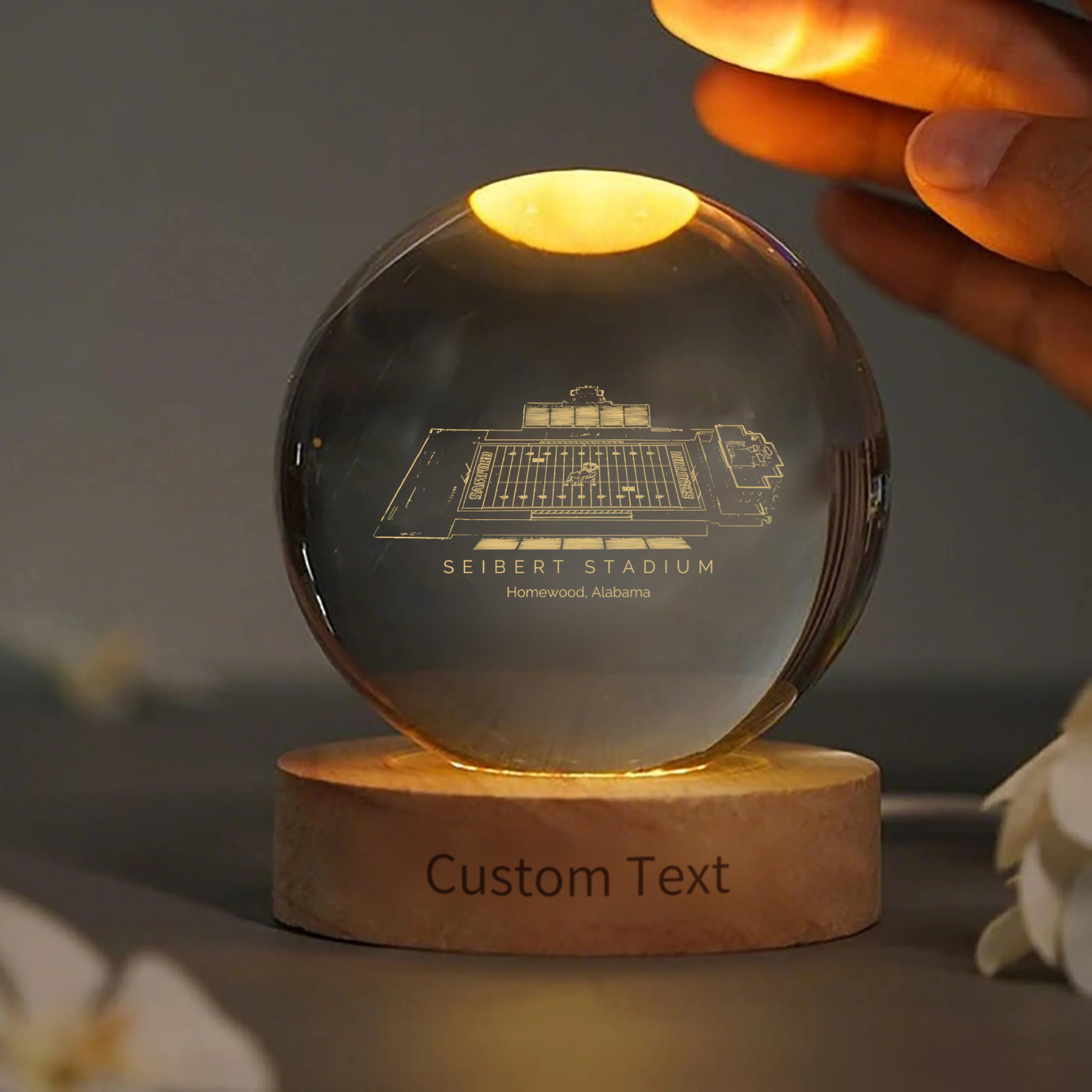 Seibert Stadium 3D Spherical Crystal Lamp