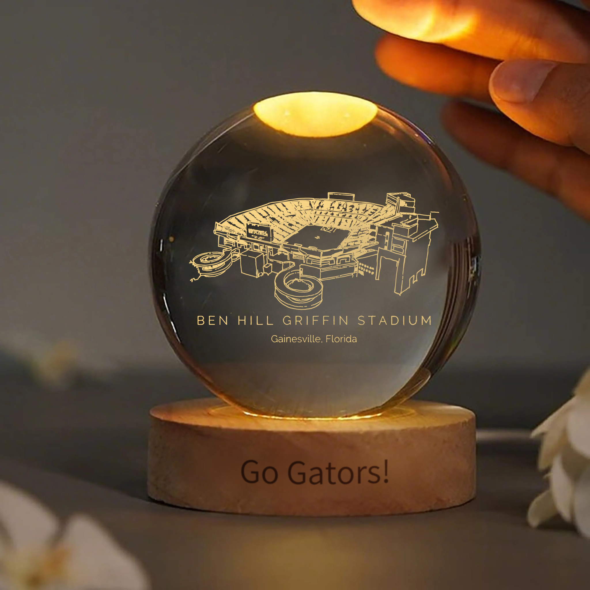 Ben Hill Griffin Stadium 3D Spherical Crystal Lamp