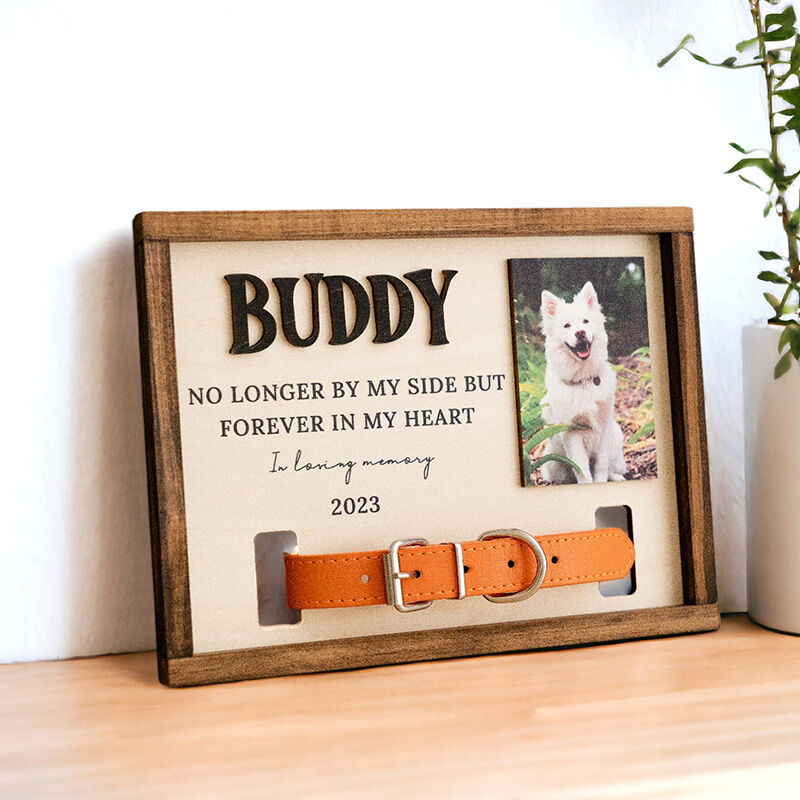 Personalized Pet Collar Frame Memorial Gift For Friends