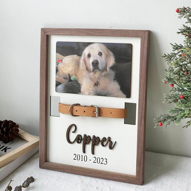 Personalized Pet Collar Photo Frame Memorial Gift For Pet Lovers-ilovevango