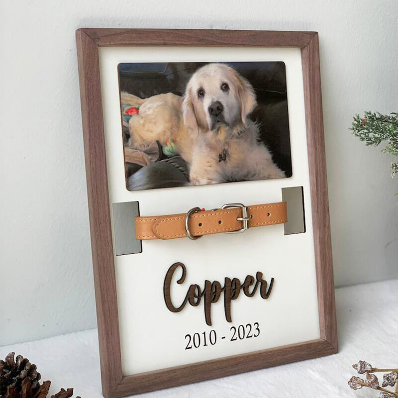 Personalized Pet Collar Photo Frame Memorial Gift For Pet Lovers-ilovevango