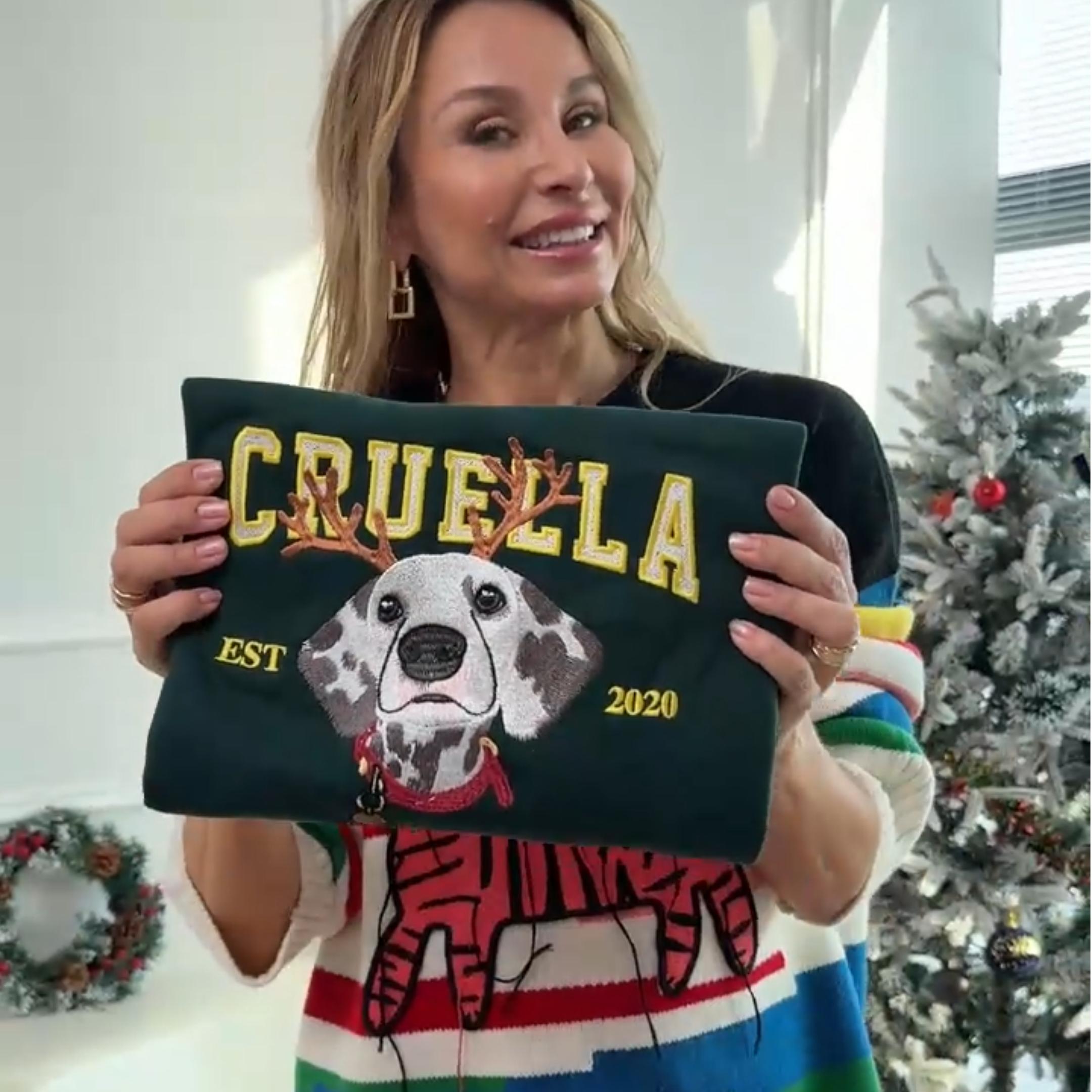 Customized Pet Face Pattern Christmas Reindeer Embroidered Sweatshirt/Hoodie