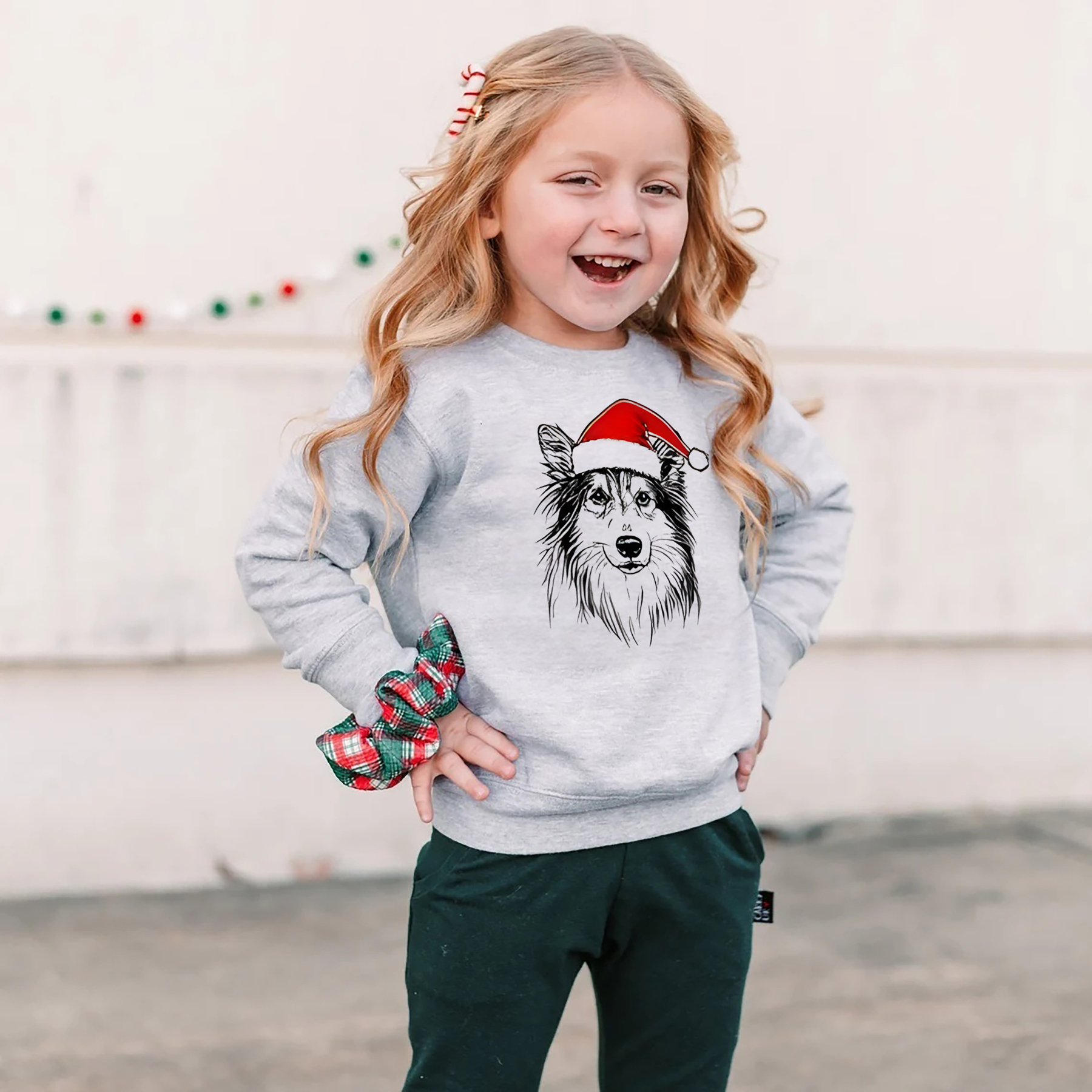 Custom Pet Christmas Sweatshirt - Personalized Dog/Cat Santa Hat Graphic Crewneck