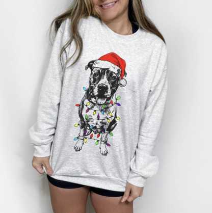 Custom Pet Christmas Crewneck with Santa Hat & Lights, Custom Dog Cat Graphic Tee