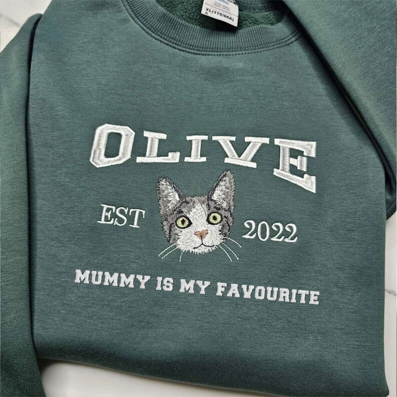 Personalized Embroidered Pet Sweatshirt with Pets Name, Custom Text