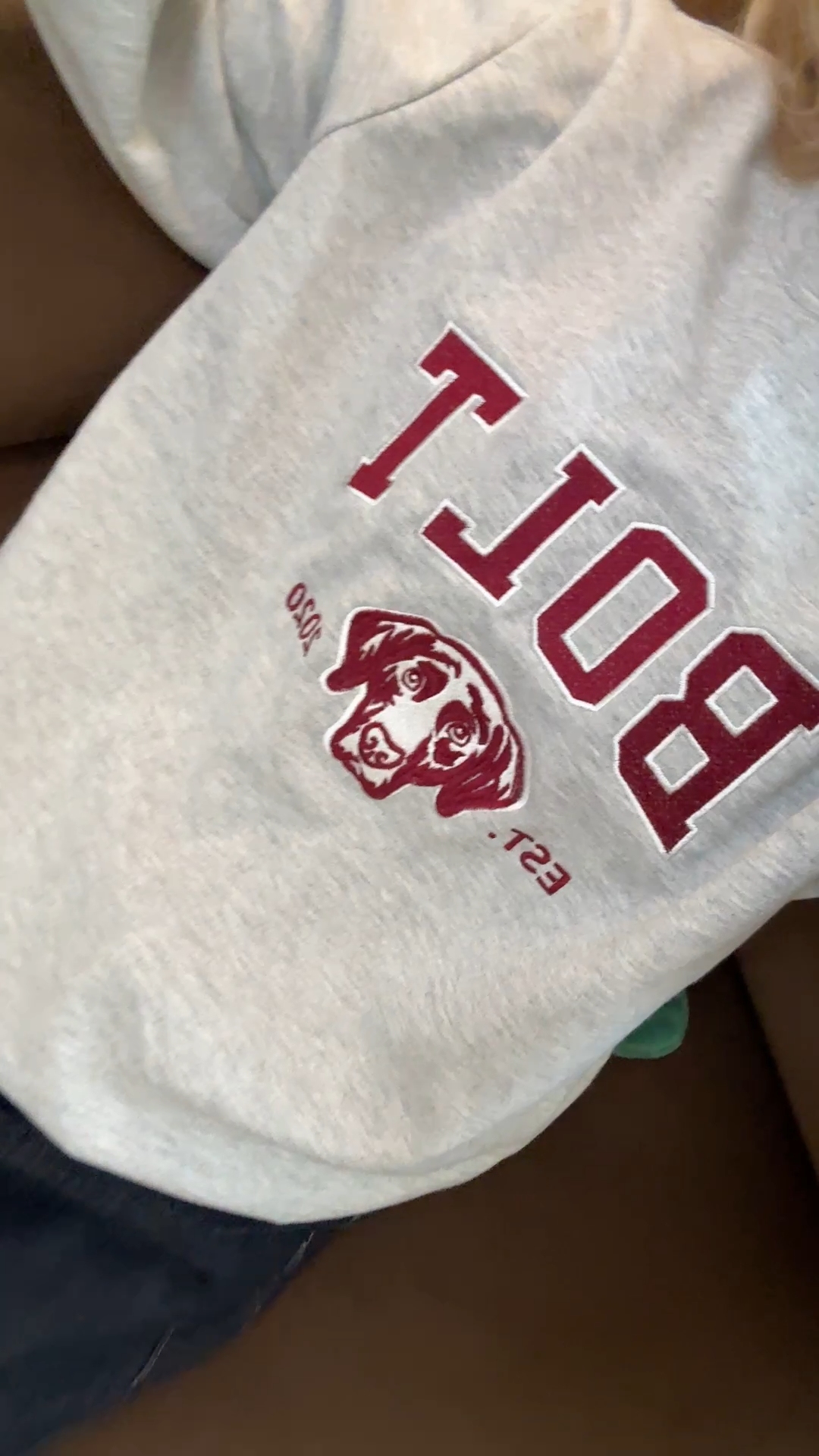 PetFiestas® Custom Pet Varsity Style Embroidered Sweatshirt Hoodie T-shirt