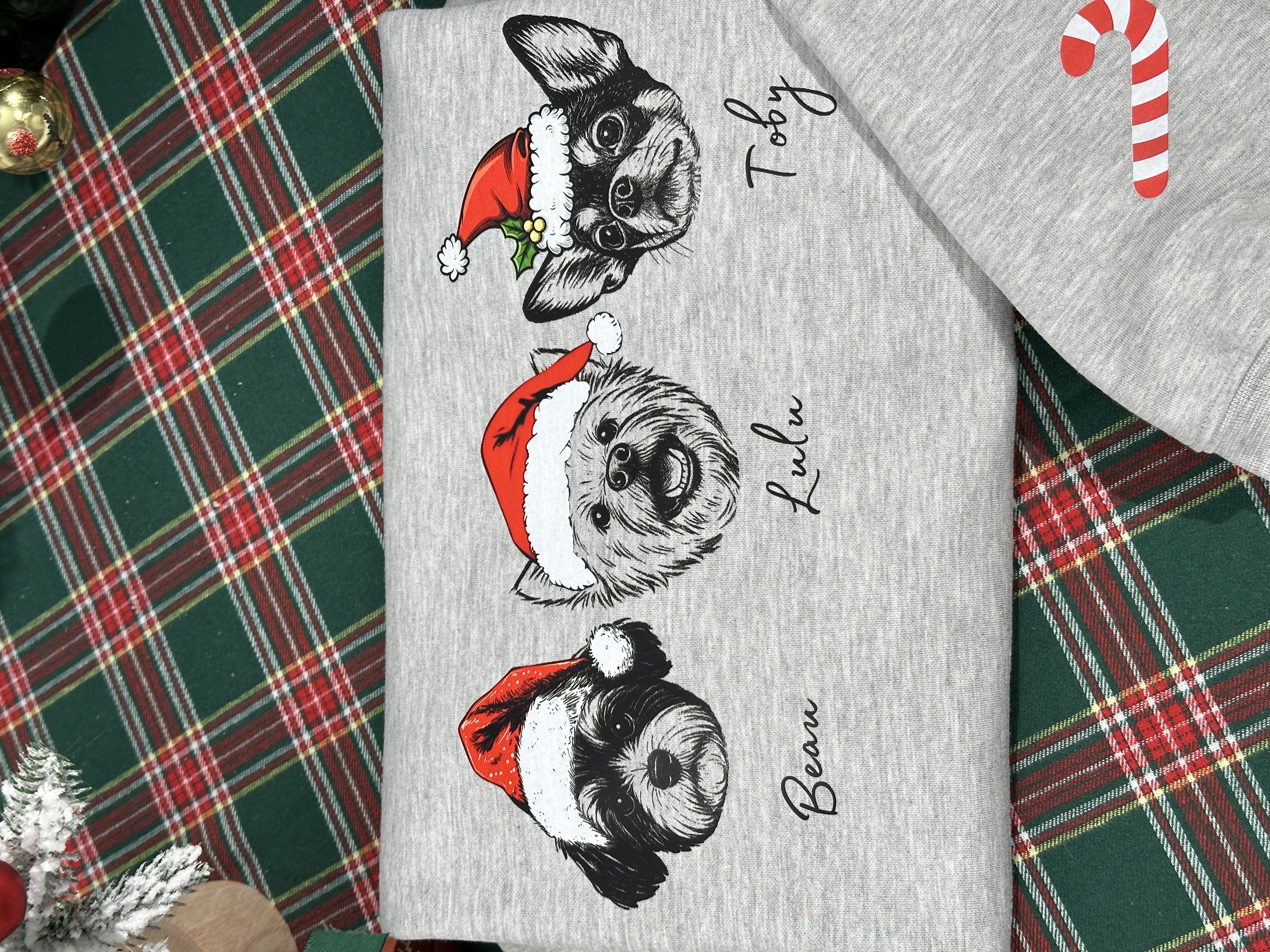 PetFiestas® Custom Dog/Cat Santa Hat Graphic Crewneck Sweatshirt Hoodie